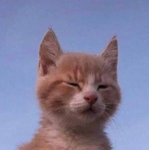 Meet your Posher, Helen